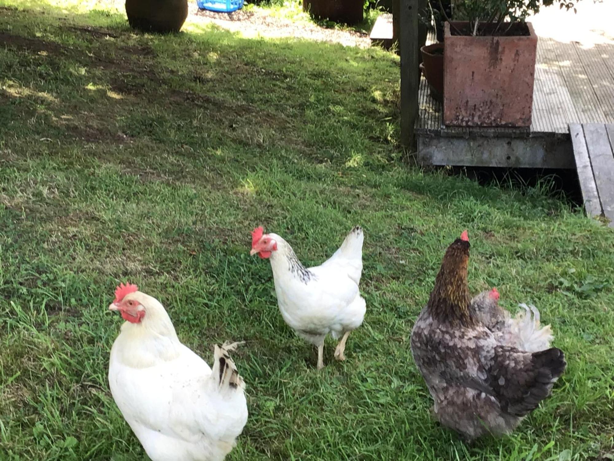 Lee House Farm Holiday Cottage With Possible Use Of Hot Tub Ninety Pounds A Session Waterfall エクステリア 写真